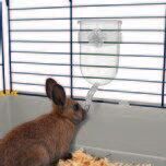Imac Bibber 400 ml Guinea pig ve Tavşan Suluğu