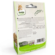 Dentalight Natural Catnip 15 gr