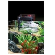 Fluval C4 Power Filtre Askı Filtre