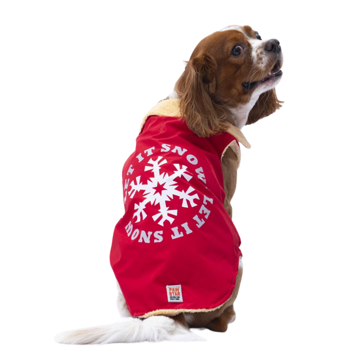 PawStar Kırmızı Yukon Küçük Irk Köpek Kolsuz Yelek Kıyafet Small