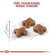 Royal Canin Kitten 4 kg Yavru Kedi Maması