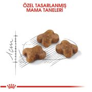 Royal Canin Kitten 10 kg