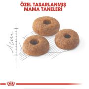 Royal Canin Fit 32 2 kg İdeal Kiloya Sahip Yetişkin Kedi Maması