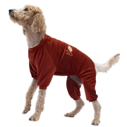 PawStar Kiremit Angers Büyük Irk Köpek Tulum Kıyafet 5XL