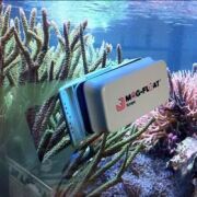 Mag Float - Mag-Scrape Large Plus Mıknatıslı Cam Sileceği