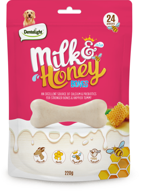 Dentalight Milk Honey Sticks Sütlü ve Ballı Kemik Köpek Ödül Maması 220 gr