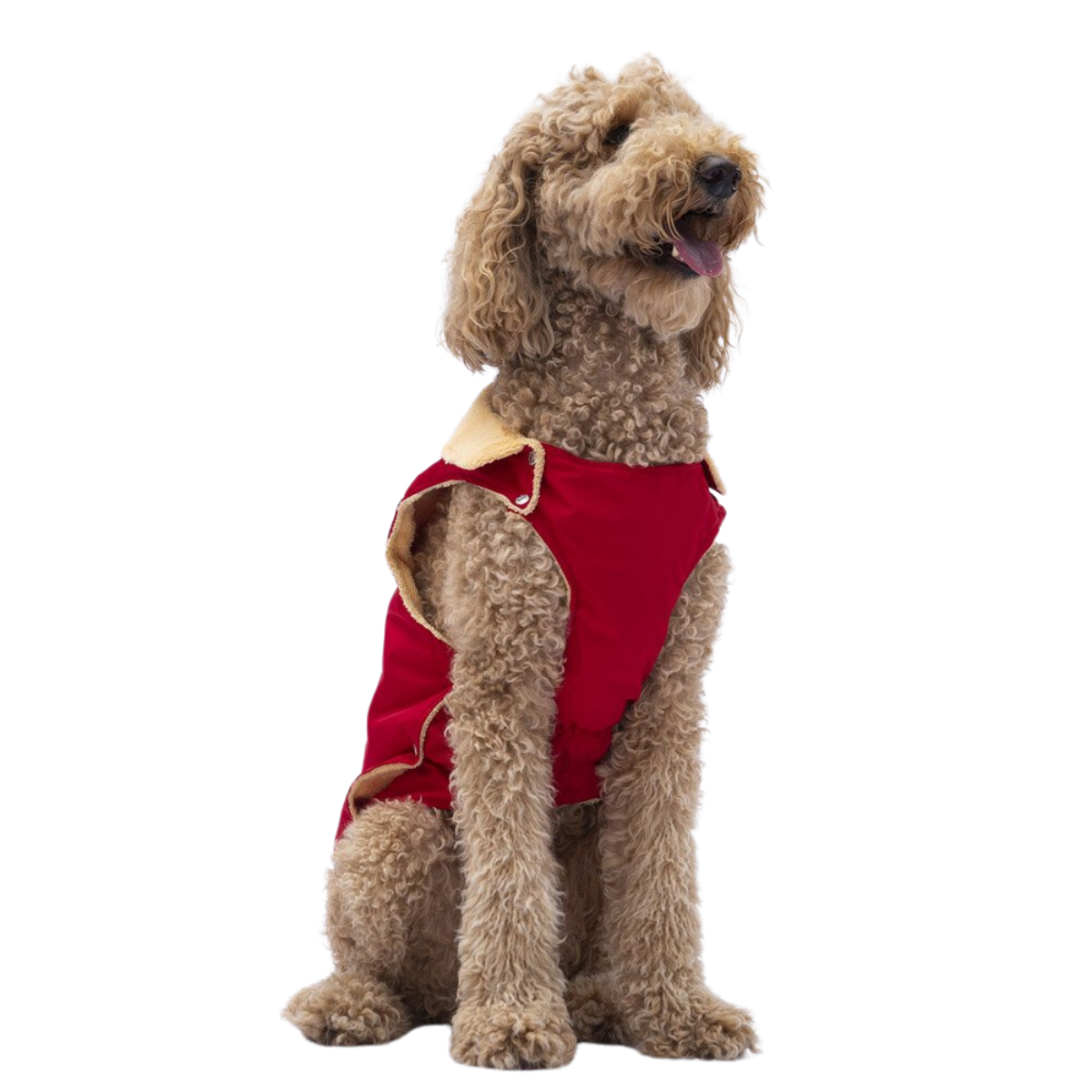 PawStar Kırmızı Yukon Büyük Irk Köpek Kolsuz Yelek Kıyafet 7XL