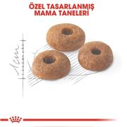 Royal Canin Fit 32 4 kg İdeal Kilodaki Yetişkin Kedi Maması