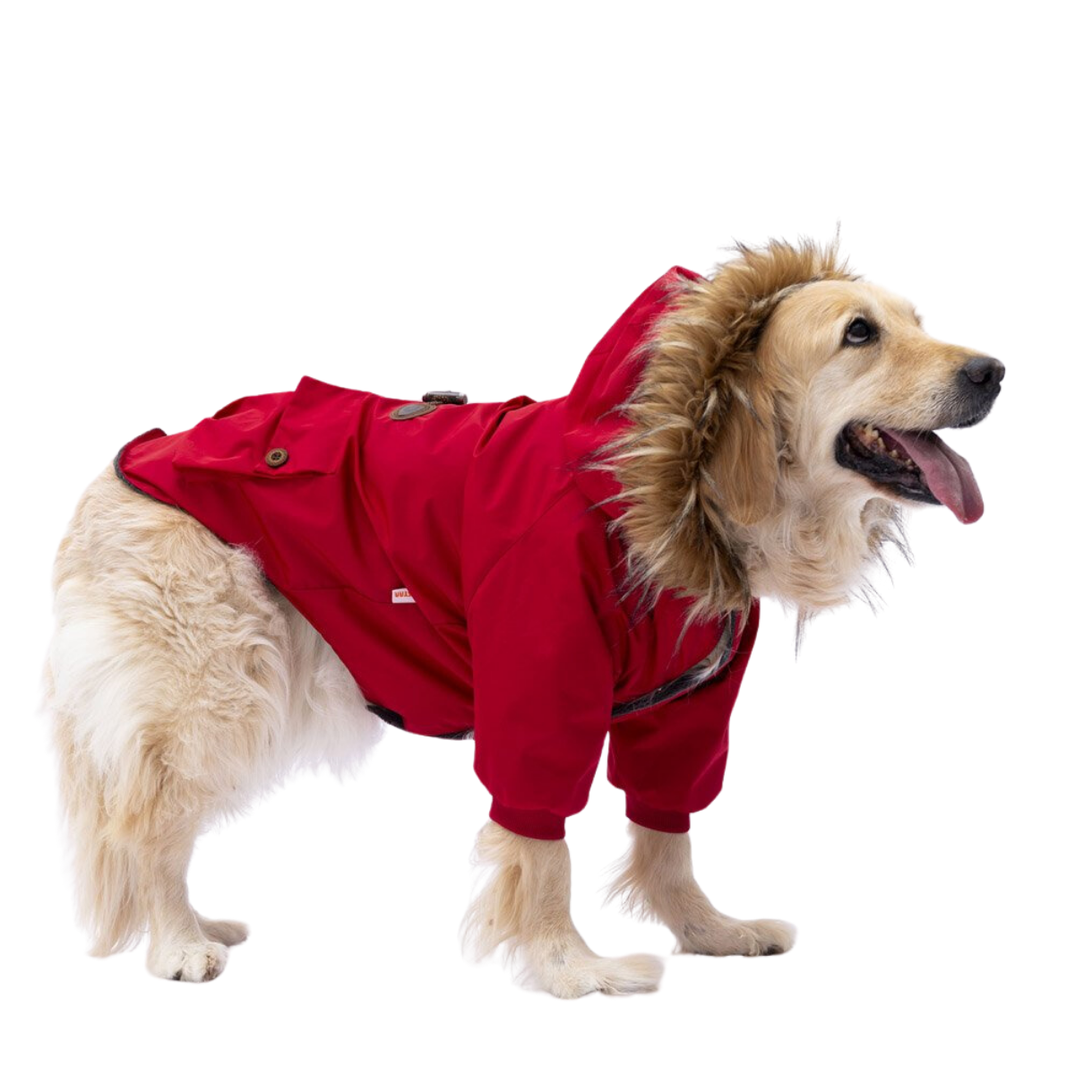 PawStar Kırmızı Charles Büyük Irk Köpek Yağmurluk Mont 6XL