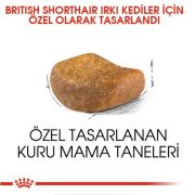 Royal Canin British Short Hair 4 Kg