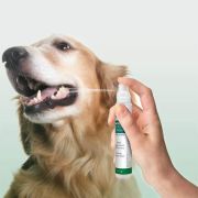 VET'S BEST Naneli Aloeveralı Köpek Ağız Diş Bakım Spreyi 14 ml