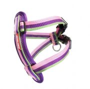 Ezydog Harnes Chest Plate Köpekler İçin Göğüs Tasması Buble (2X-Small)