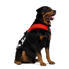 Ezydog 84066 DFD Red Large 27-41 Kg Köpek Can Yeleği