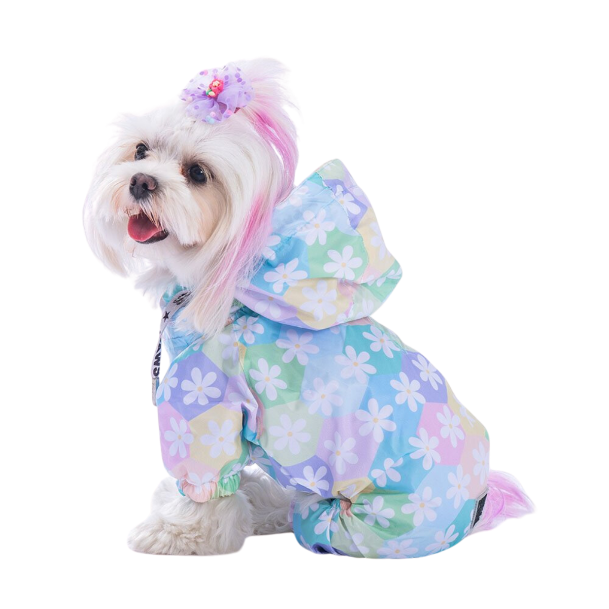 PawStar Flores Küçük Irk Köpek Tulum Yağmurluk Large