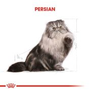 Royal Canin Persian 2 Kg