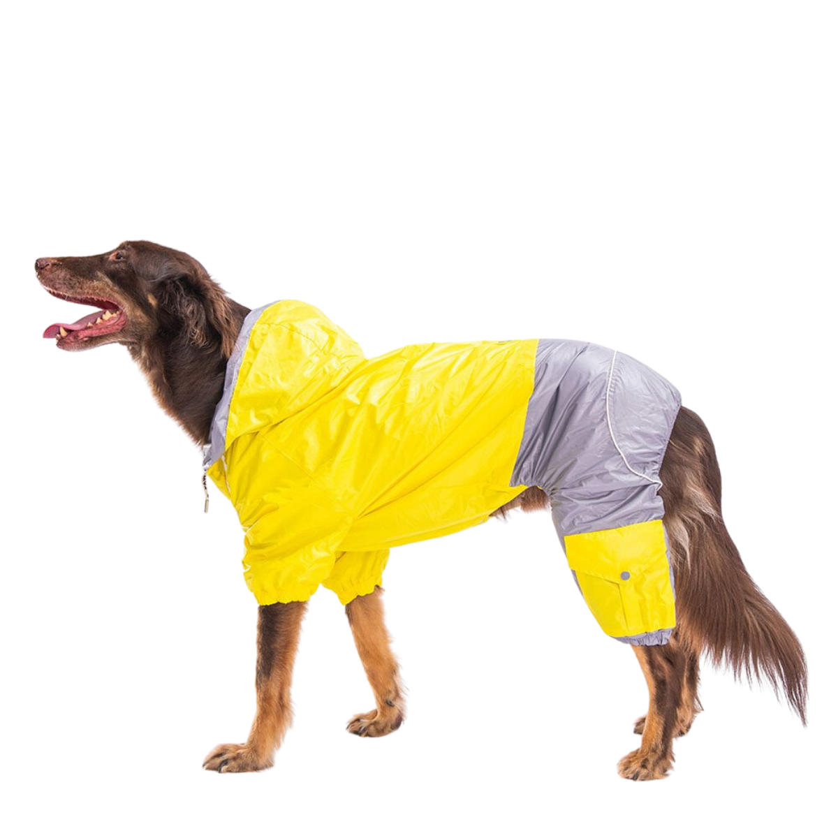 PawStar Bej Sarı Gri Orta Irk Köpek Tulum Yağmurluk 6XL
