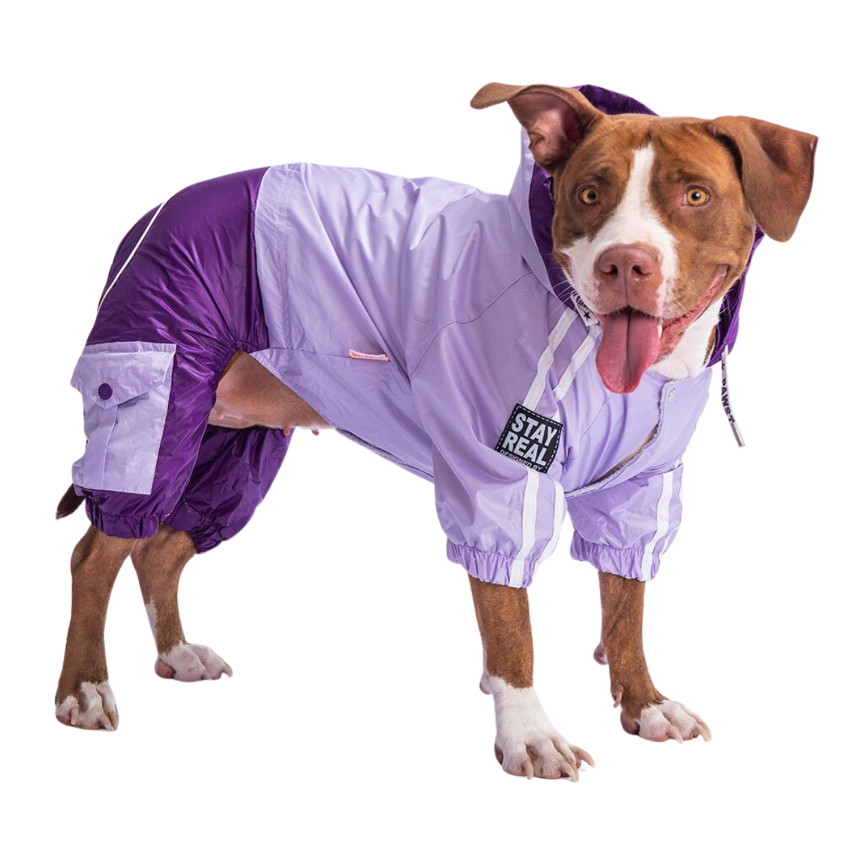 PawStar Lila Mor Büyük Irk Köpek Tulum Yağmurluk 6XL