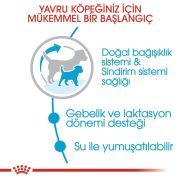 Royal Canin Mini Starter Mother Baby Dog 4 kg Yavru Köpek Maması