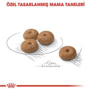 Royal Canin Mini Sterilised 3 Kg Köpek Maması