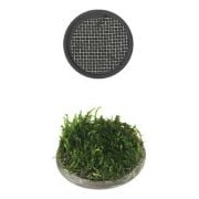 Ista Akvaryum Yuvarlak Bitki Yetiştirme Izgarası 5 cm - EDD03
