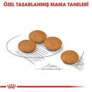 Royal Canin Mini Dermacomfort 3 kg Köpek Maması