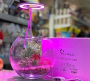 AquaReef Angel Grow Led Alt Platformlu Aydınlatma