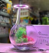 AquaReef Angel Grow Led Alt Platformlu Aydınlatma