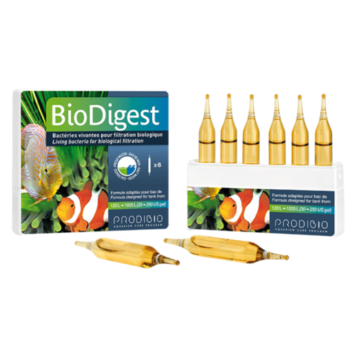 Prodibio BioDigest 6 Ampul