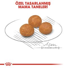 Royal Canin X-Small Adult 1,5 Kg Köpek Maması
