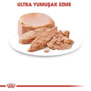 Royal Canin Starter Mousse Mother And Baby Dog 195 gr