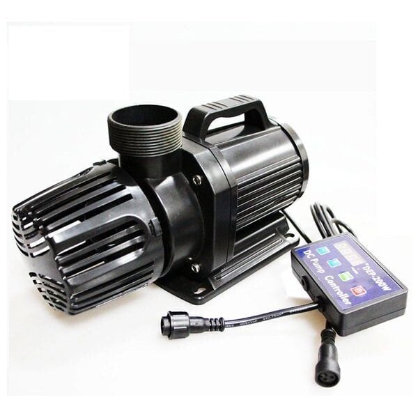 Hsbao Dep 20000 Kafa Motoru