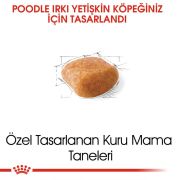 Royal Canin Poodle Adult 3 Kg Köpek Irk Maması