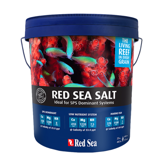 Red Sea - Salt