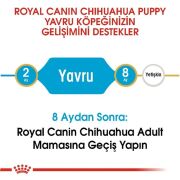 Royal Canin Chihuahua Puppy 1,5 Kg Yavru Köpek Maması
