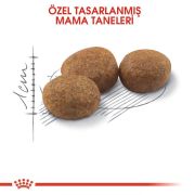 Royal Canin Sterilised 4 kg Kısırlaştırılmış Kedi Maması