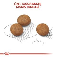 Royal Canin Maxi Puppy 15 kg Yavru Köpek Maması