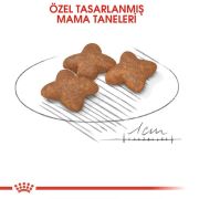 Royal Canin Mini Adult 2 kg Köpek Maması