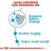 Royal Canin Mini Puppy 2 kg Yavru Köpek Maması