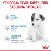 Royal Canin Babydog Milk Köpek Süt Tozu 400 gr