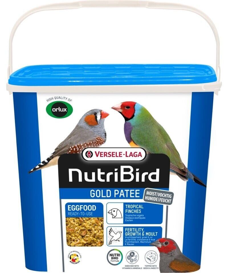 Versele Laga Gold Patee Tropical Finches 5 kg Protein ve Enerji Desteği Mama