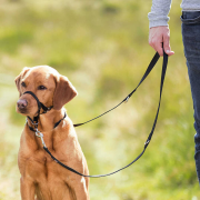 Trixie Uzman Köpek Eğitim Tasması L 31 Cm