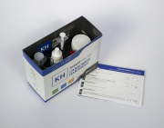 KH Smart Test