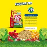 KIKI Kuş Kızıştırıcı 150 gr 12 Adet