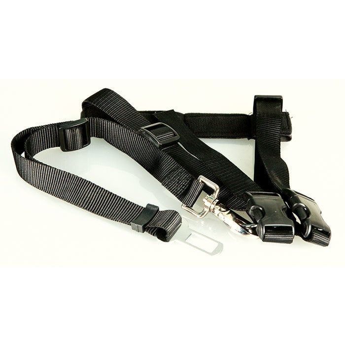 Pawise Köpekler İçin Emniyet Kemerli Tokalı Tasma 30-60 cm