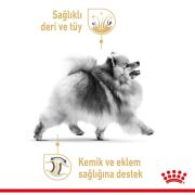 Royal Canin Pomeranian Adult 3 Kg Köpek Irk Maması