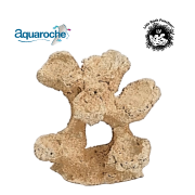 550104 Rock & Reef Medium 2