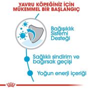 Royal Canin X-Small Puppy 3 Kg Yavru Köpek Maması