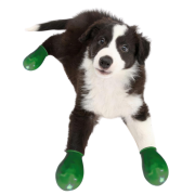 Alphadog Köpek Galoşu Yeşil XXS