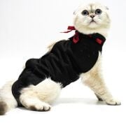 Petsuit Yara Koruyucu Korse XL
