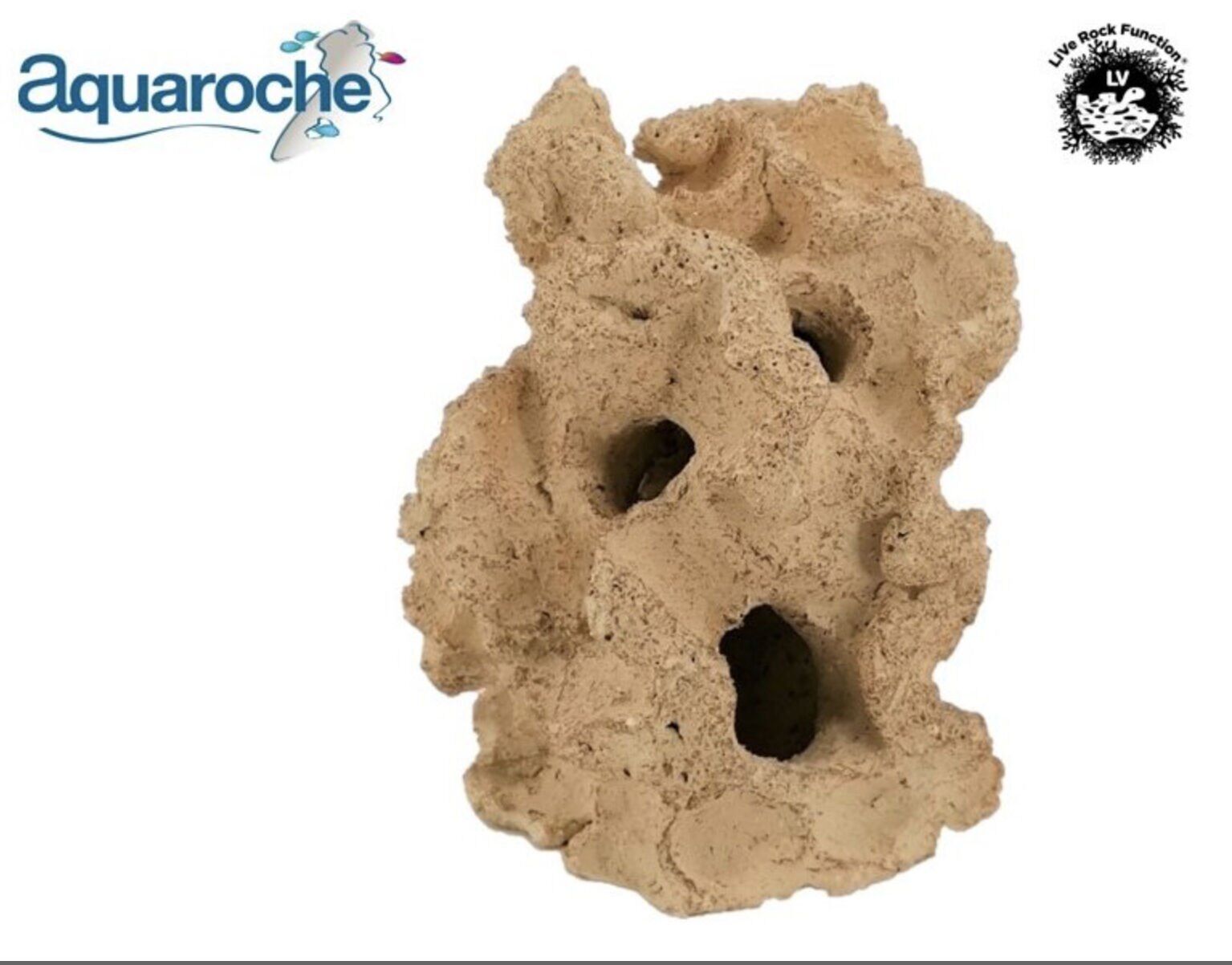 503981 Jawfish home H 18 cm